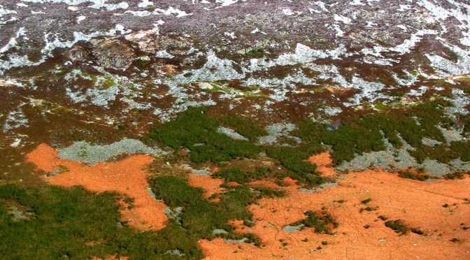 Ada Lovelace on Creativity