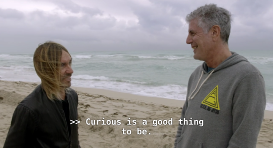 Ig talking about curiosity