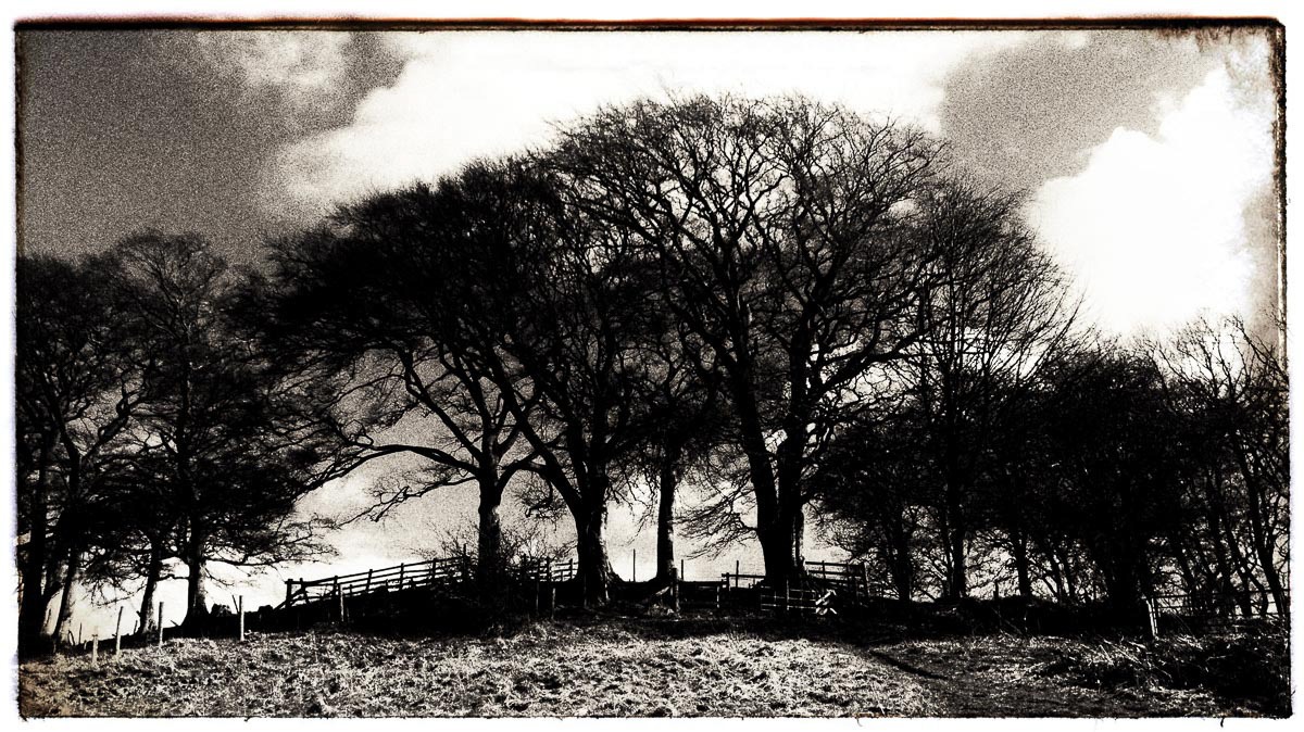 Brampton Ridge, Cumbria, UK.