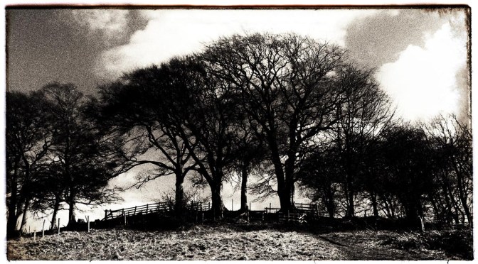 Brampton Ridge, Cumbria, UK.