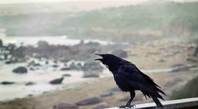 The Song of the Crow