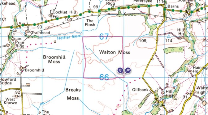 ordnance survey map showing the grid I walked