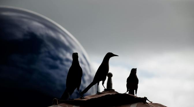 All Crows Look the Same