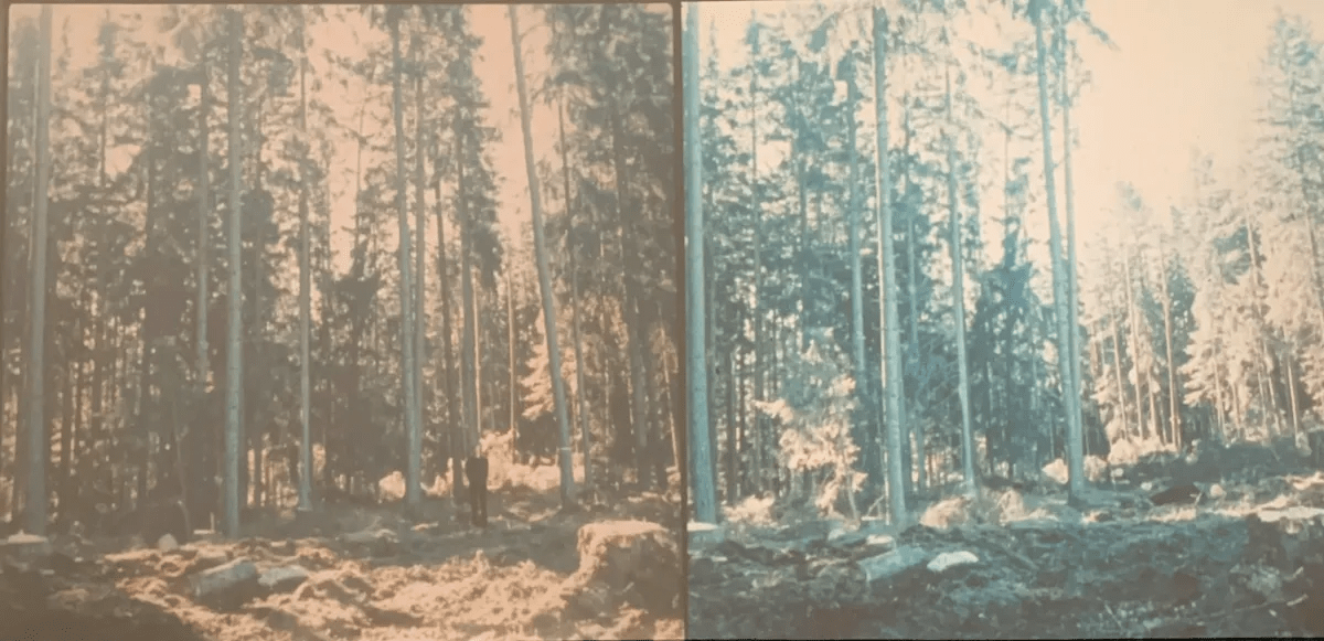 Art as Adventure